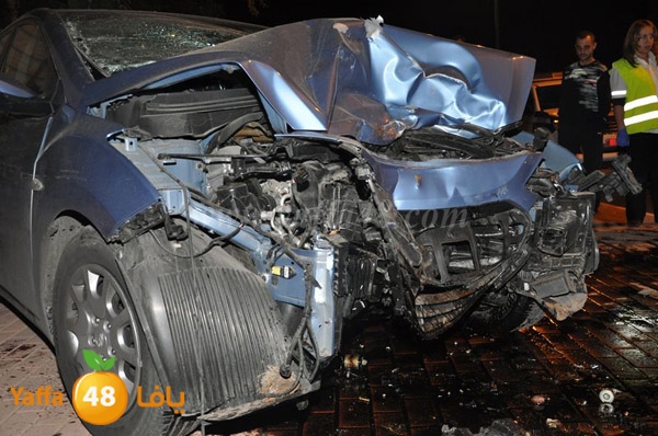 acc 7eshmona2em palmtree (12).JPG